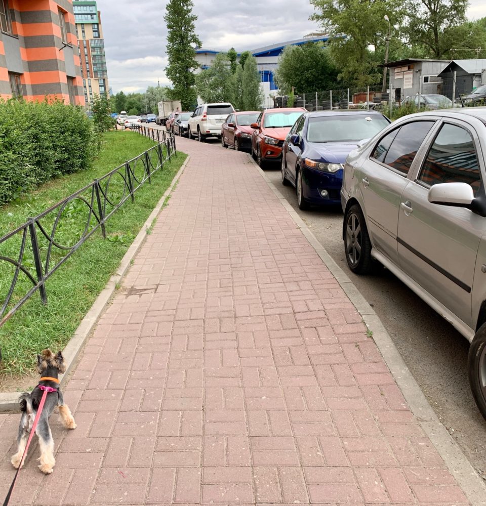 В Кудрово и Мурино могут появиться платные парковки — ПЕТЕРБУРГСКИЙ ЛИСТОКЪ  — актуальные новости СПб