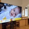 Фонд «Ты ему нужен» объединил руководителей детских учреждений из десяти регионов России